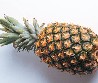 PineappleMan's Avatar